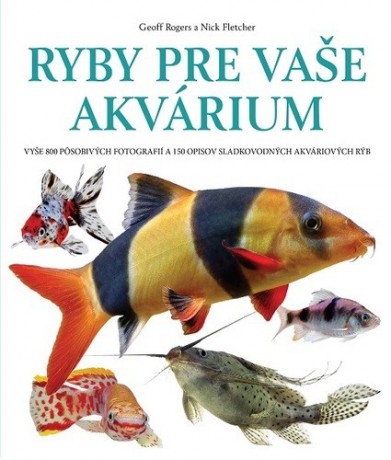 ryby-pre-vase-akvarium-14269